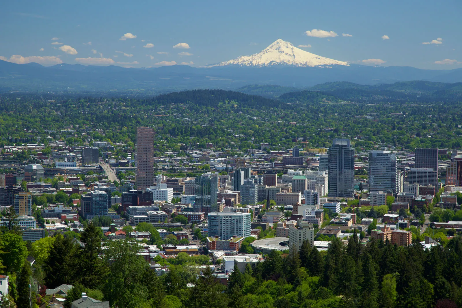 Portland Oregon skyline